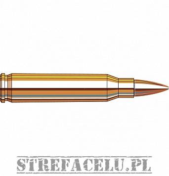 Amunicja Hornady FMJ-BT 55gr/3.56g // .223 REM