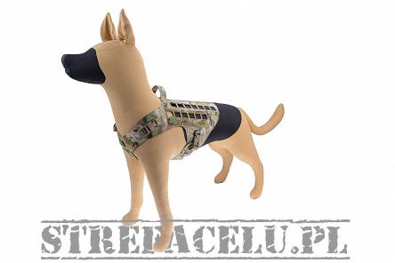 Uprząż - szelki dla psa K9 Drago Harness , Kolor: Multicam, Raptor Tactical, (Wybór rozmiarów)