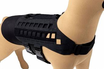 Uprząż - szelki dla psa K9 Zephyr MK2 Dog Harness, Kolor: Czarny - Raptor Tactical