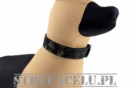 Obroża dla psa K9 Odin Collar, Kolor: Multicam Black - Raptor Tactical