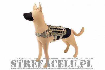 Uprząż - szelki dla psa K9 Zephyr MK2 Dog Harness, Kolor: Multicam Black - Raptor Tactical