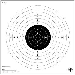 Tarcza strzelnicza pistolet sportowy 25m - Psp-25m - pierścieniowa - 10szt.